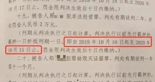 南阳爆料最新新闻视频,视频揭露惊人真相，引发社会关注