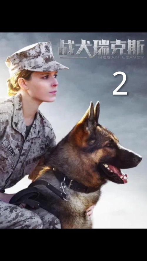 战犬 在线观看,忠诚守护,生死较量 第2张 战犬 在线观看,忠诚守护,生死较量 第2张